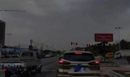 大树爆料视频完整版下载,完整版视频下载全解析